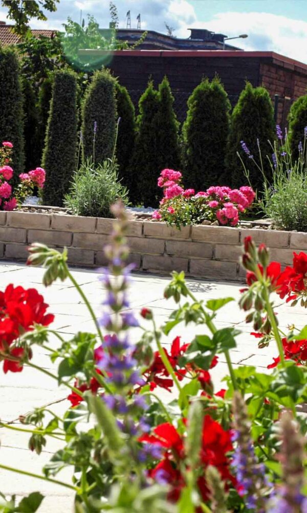 Kolorowy ogród nowoczesny