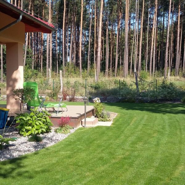 Swobodny ogród leśny